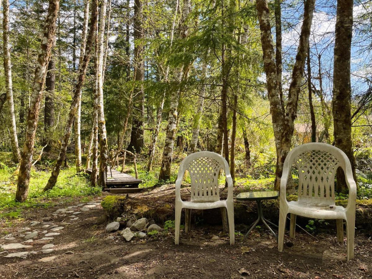 Mt Rainier Little Green Cabin On Big Creek! Ashford Exterior foto
