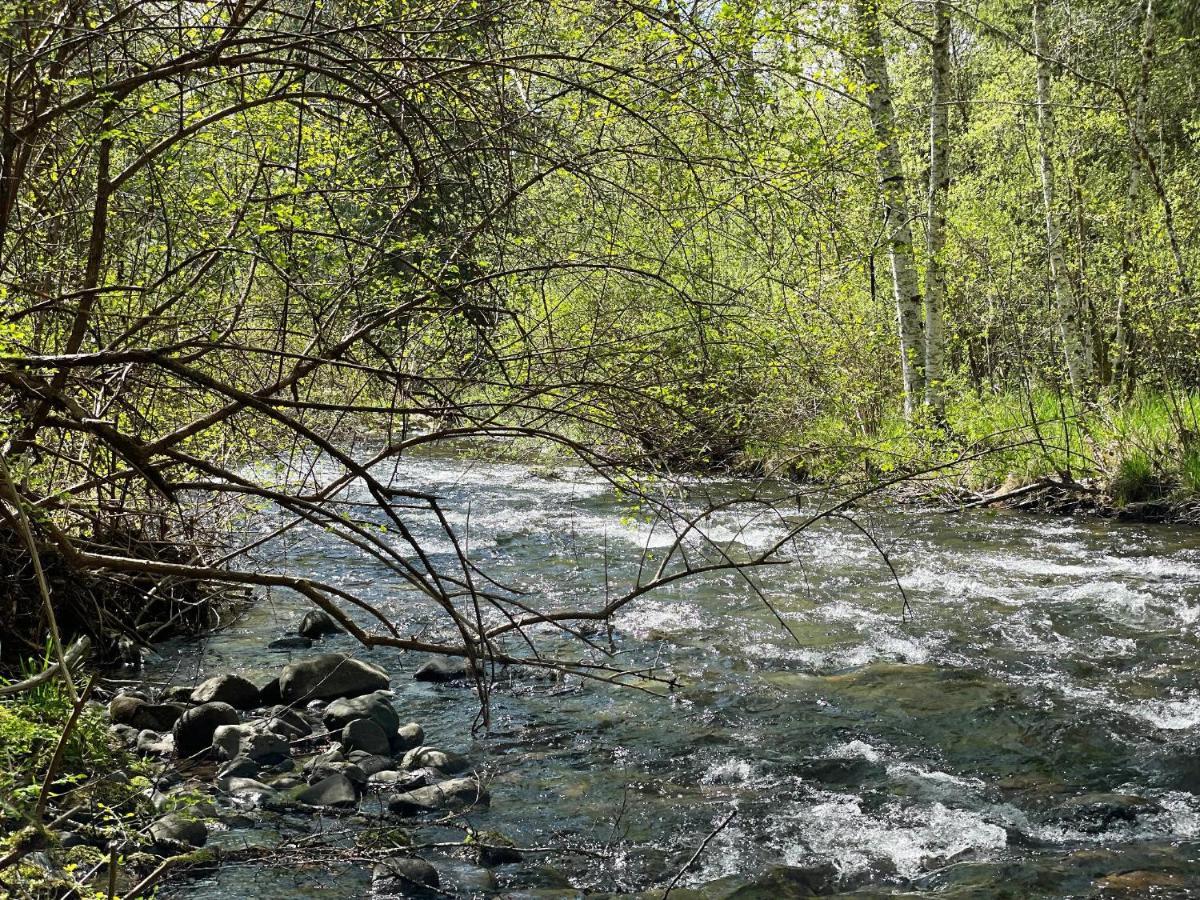 Mt Rainier Little Green Cabin On Big Creek! Ashford Exterior foto